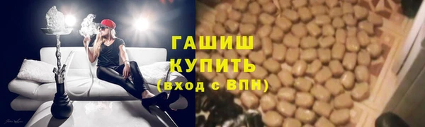 гидропоника Алзамай