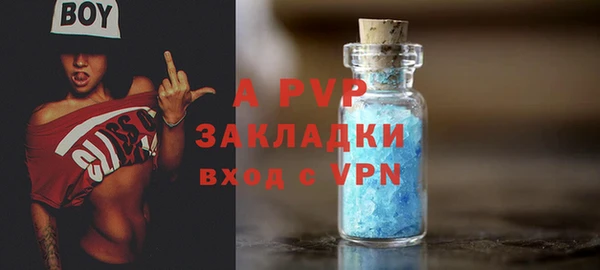 гидропоника Алзамай