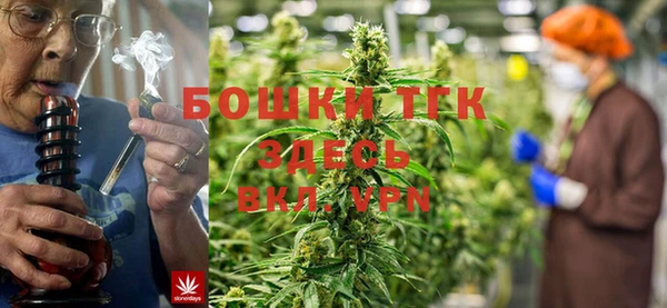 гидропоника Алзамай